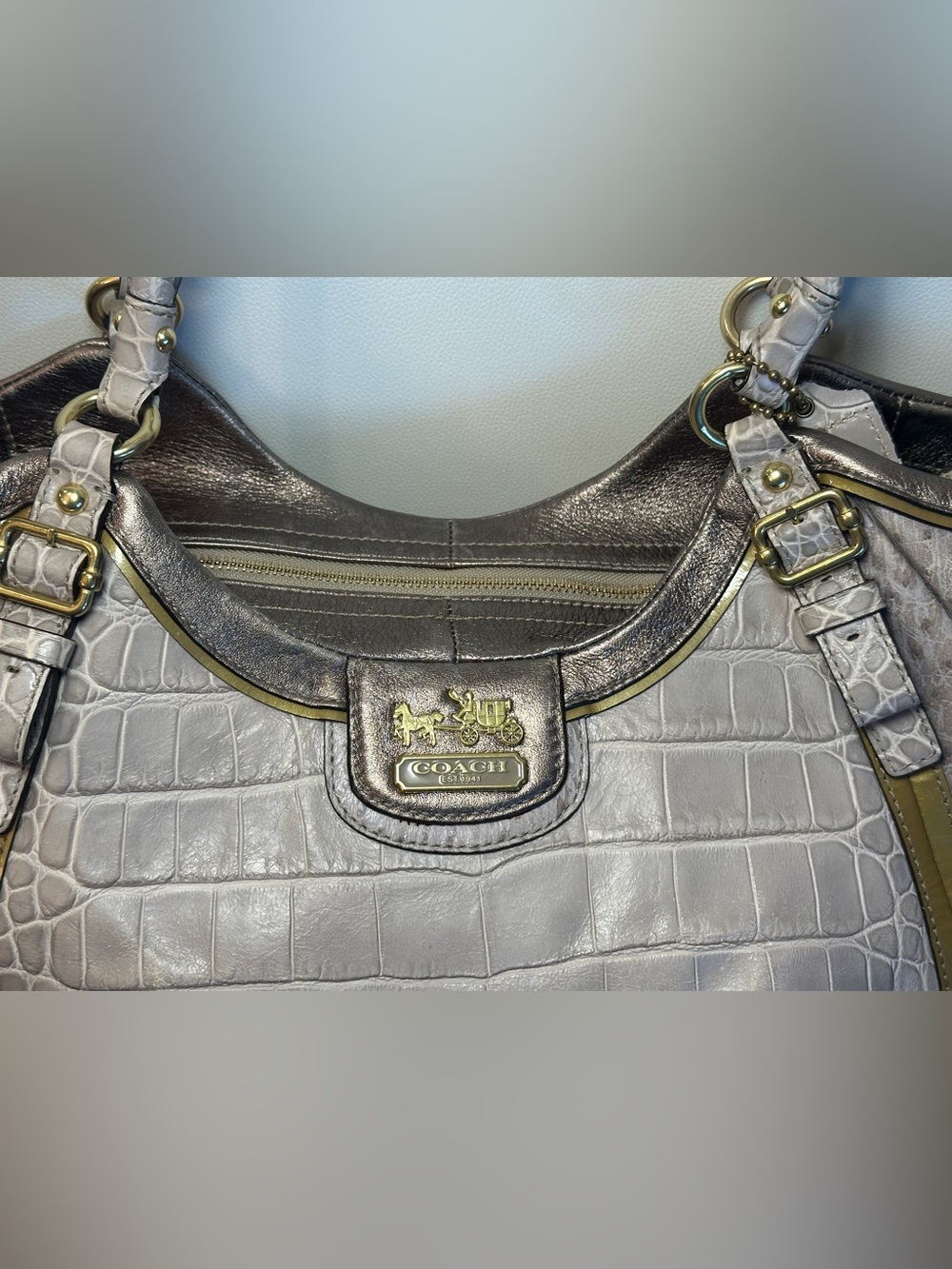 Coach Madison Abigail Exotic Embossed Leather Carryall Satchel Dust Bag - EUC - Picture 11 of 12